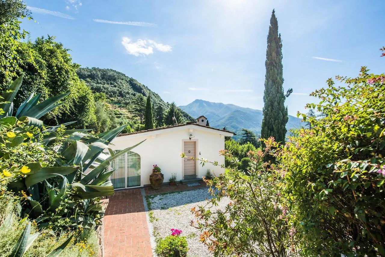 Holiday home Exclusive Beautiful Pool House Surrounded By Greenery, Modern, Luxury Finishes Camaiore Italy