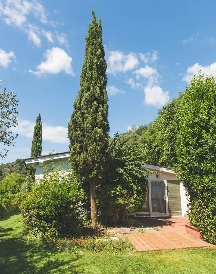 Exclusive Beautiful Pool House Surrounded By Greenery, Modern, Luxury Finishes Camaiore