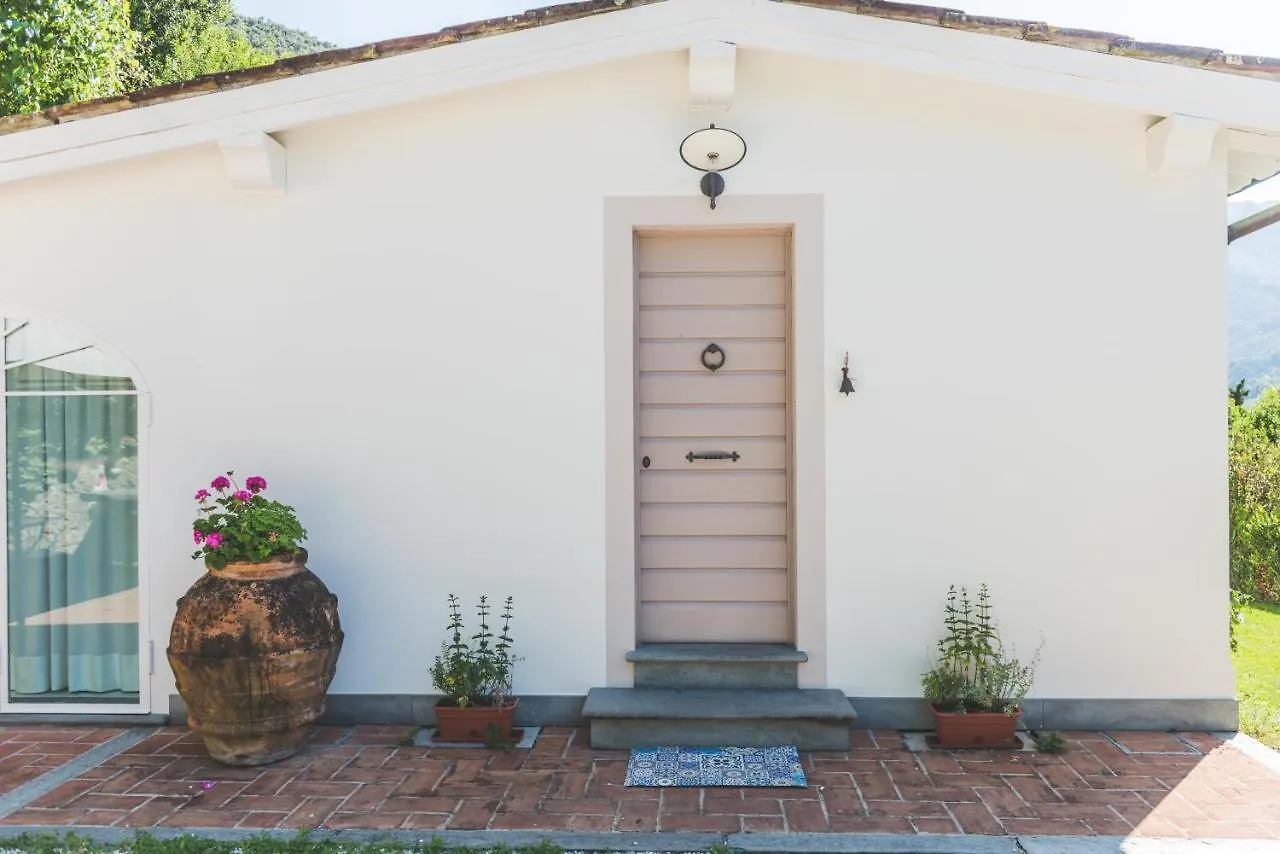 Exclusive Beautiful Pool House Surrounded By Greenery, Modern, Luxury Finishes Camaiore Italy