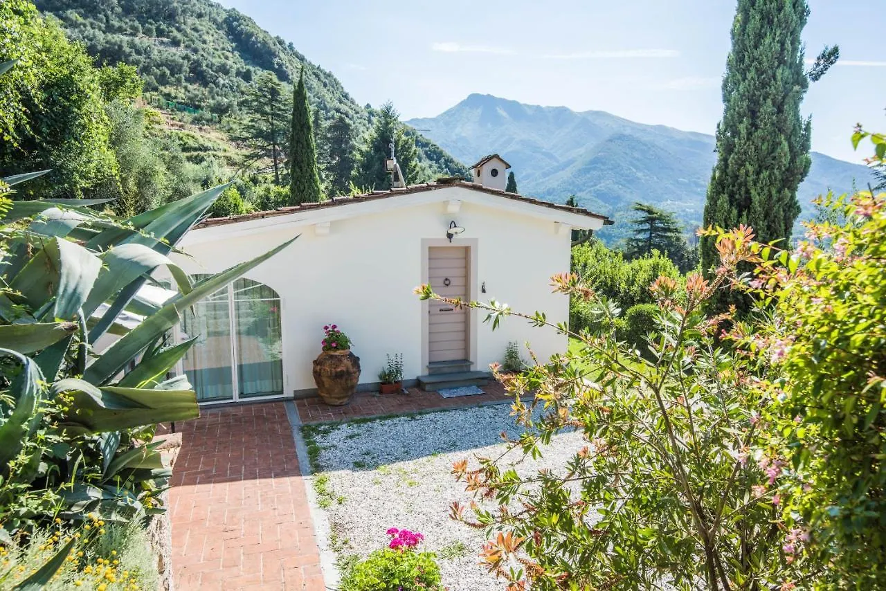 Exclusive Beautiful Pool House Surrounded By Greenery, Modern, Luxury Finishes Camaiore 0*,  Italy