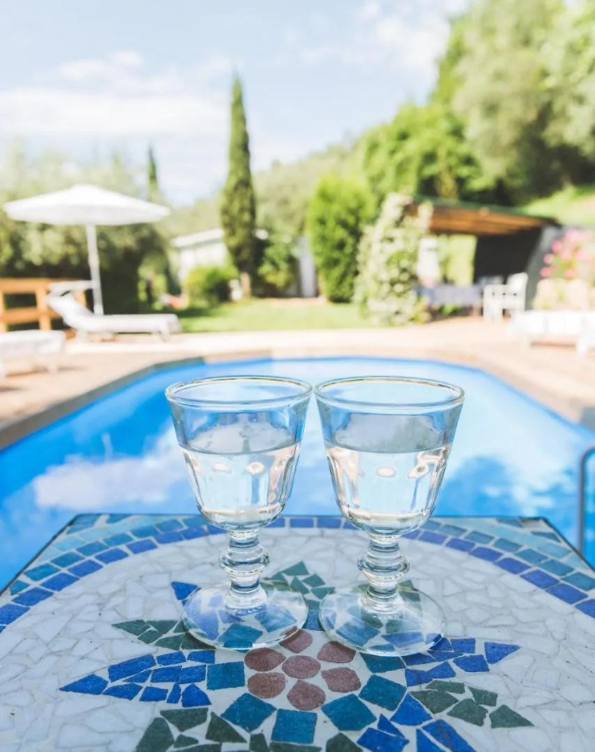 Holiday home Exclusive Beautiful Pool House Surrounded By Greenery, Modern, Luxury Finishes Camaiore Italy