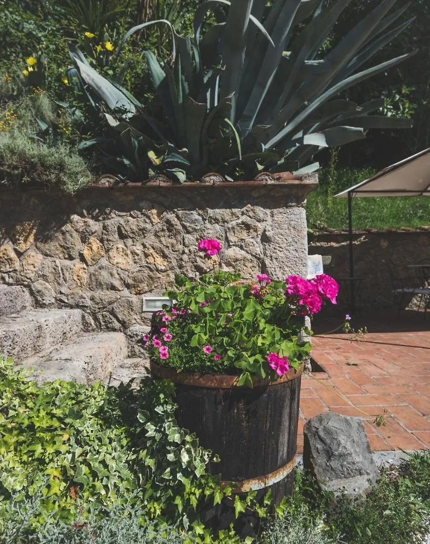 Exclusive Beautiful Pool House Surrounded By Greenery, Modern, Luxury Finishes Camaiore Italy