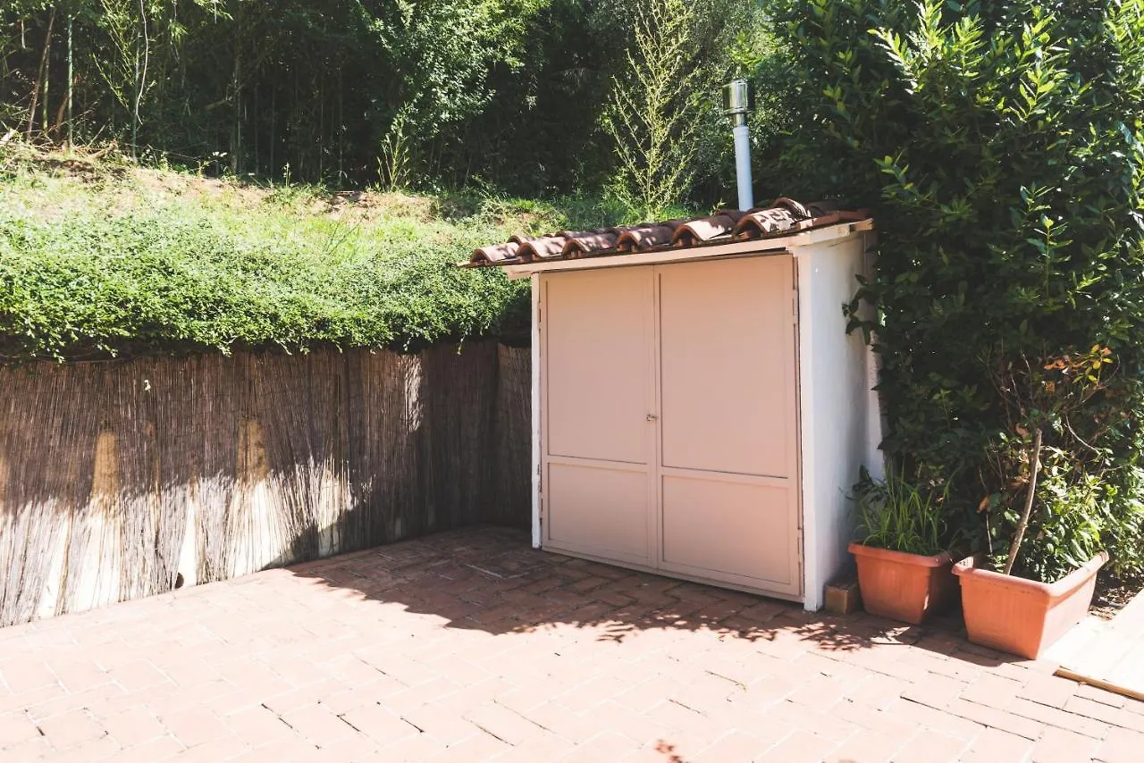 Exclusive Beautiful Pool House Surrounded By Greenery, Modern, Luxury Finishes Camaiore Italy
