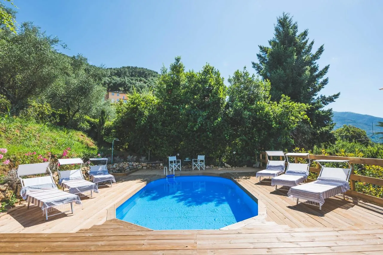 Exclusive Beautiful Pool House Surrounded By Greenery, Modern, Luxury Finishes Camaiore Holiday home